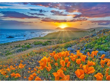 Big Sur - 3D Action Lenticular Greeting Card - NEW Discount