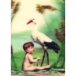 3 Victorian Children -POSTCARDS Stork, Cabbages, 3D Lenticular Greeting Cards - NEW Supply