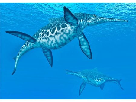 Ichthyosaur Shonisaurus - 3D Lenticular Postcard Greeting Card - NEW Fashion